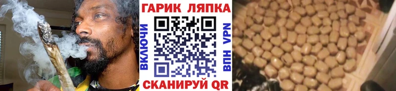 ГАШ Premium  OMG рабочий сайт  Талдом 