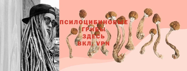 ешки Балабаново