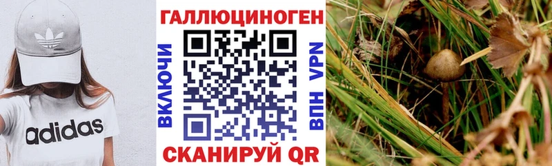 Галлюциногенные грибы ЛСД  Талдом 